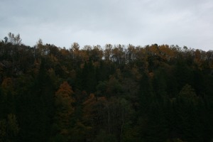 Autumn colors in Meland